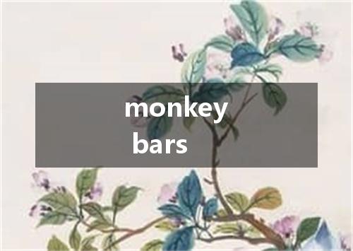 monkey bars是什么意思