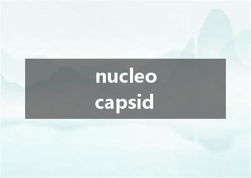 nucleocapsid是什么意思
