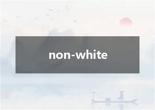 non-white是什么意思