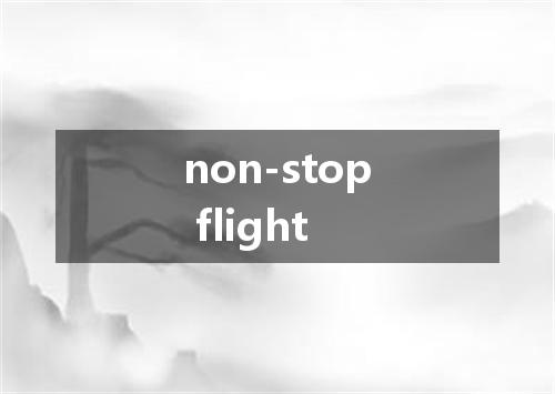 non-stop flight是什么意思