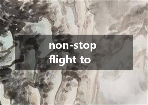 non-stop flight to是什么意思