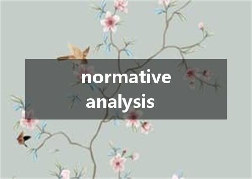 normative analysis是什么意思
