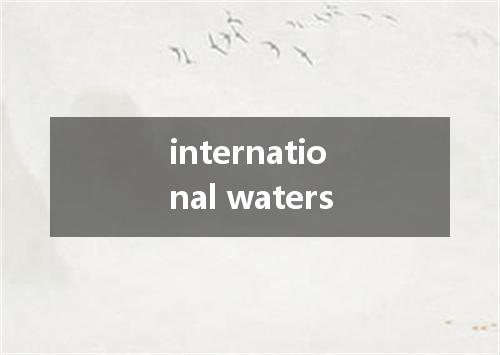 international waters是什么意思