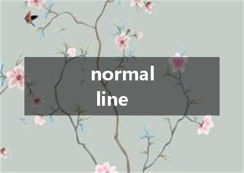 normal line是什么意思
