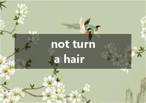 not turn a hair是什么意思