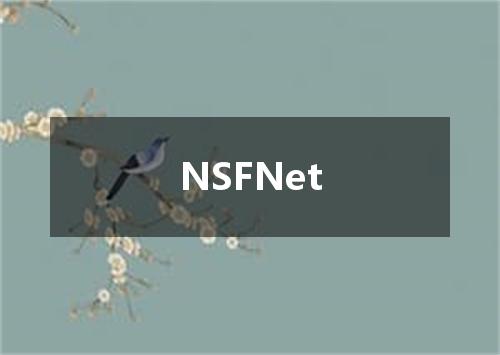 NSFNet是什么意思