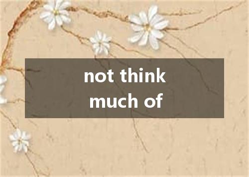 not think much of是什么意思