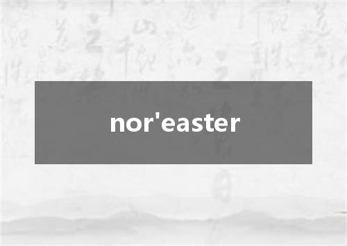 nor'easter是什么意思