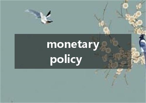 monetary policy是什么意思