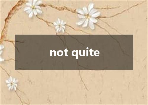 not quite是什么意思