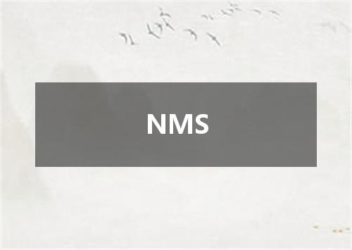 NMS是什么意思