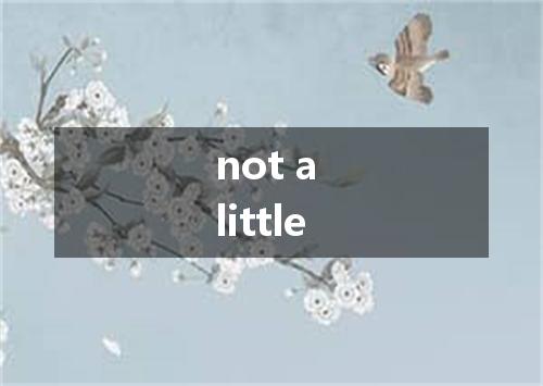 not a little是什么意思