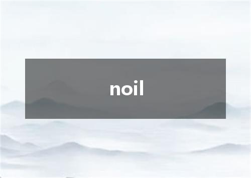 noil是什么意思