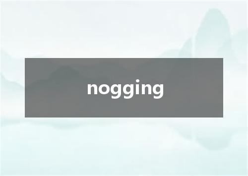 nogging是什么意思