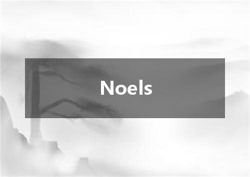 Noels是什么意思