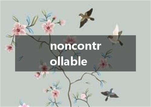 noncontrollable是什么意思