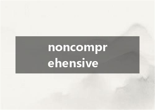 noncomprehensive是什么意思