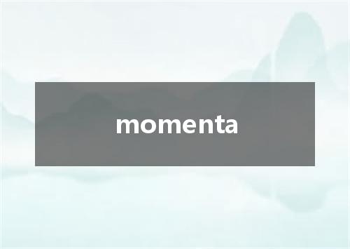 momenta是什么意思