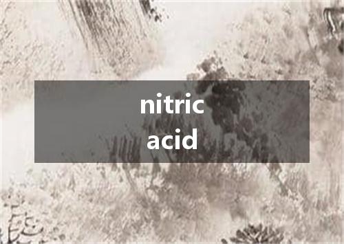 nitric acid是什么意思