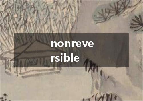 nonreversible是什么意思