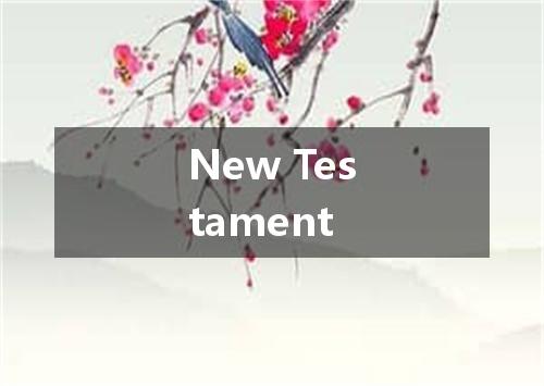 New Testament是什么意思