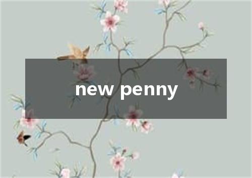 new penny是什么意思