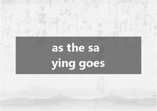 as the saying goes是什么意思