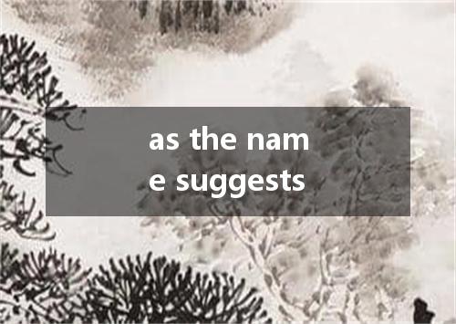 as the name suggests是什么意思