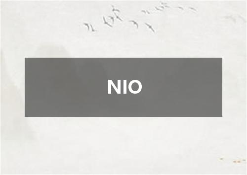 NIO是什么意思