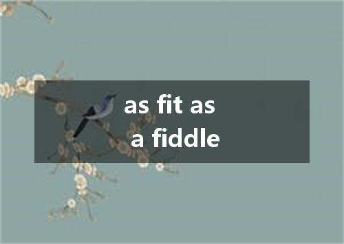as fit as a fiddle是什么意思