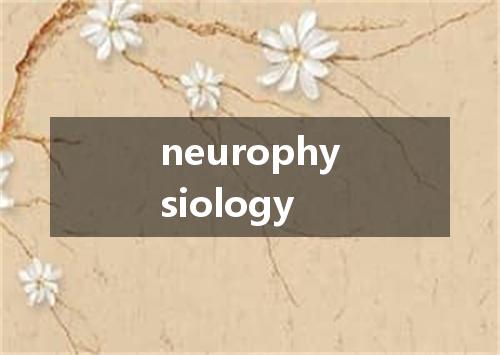 neurophysiology是什么意思
