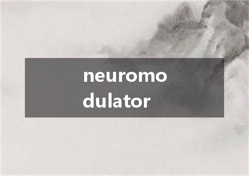 neuromodulator是什么意思