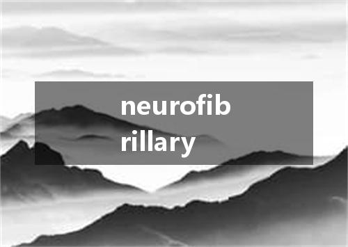 neurofibrillary是什么意思