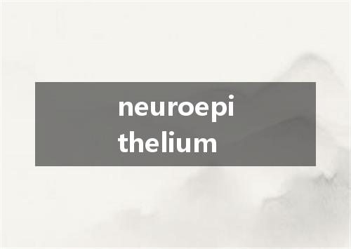 neuroepithelium是什么意思