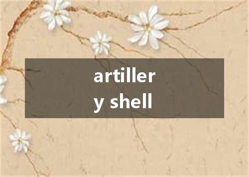 artillery shell是什么意思