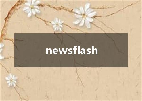 newsflash是什么意思