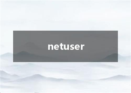 netuser是什么意思
