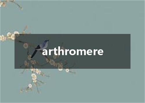 arthromere是什么意思