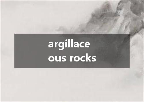 argillaceous rocks是什么意思