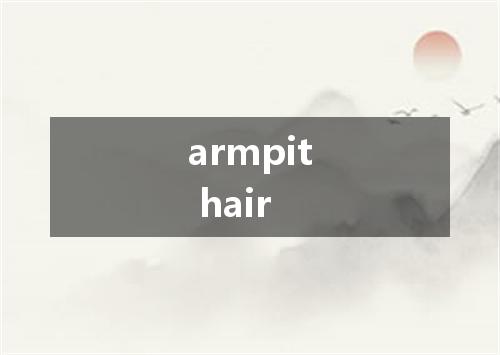 armpit hair是什么意思