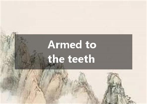Armed to the teeth是什么意思