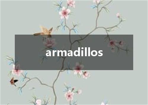 armadillos是什么意思