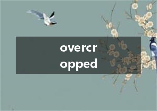 overcropped是什么意思