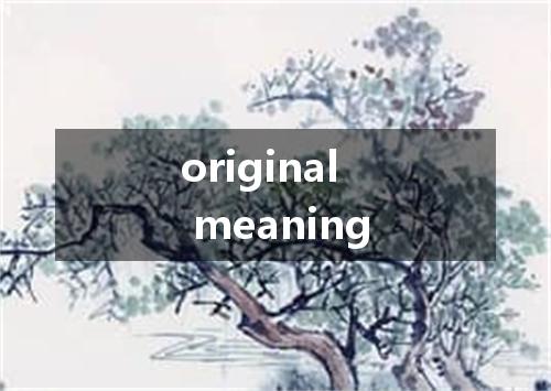 original meaning是什么意思
