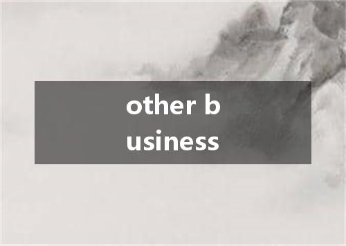 other business是什么意思