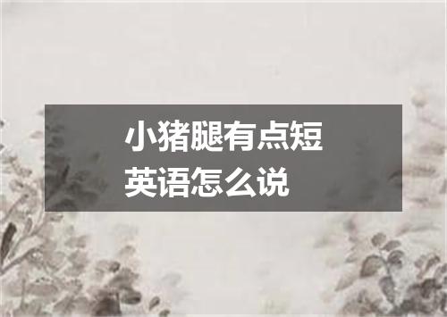 小猪腿有点短英语怎么说