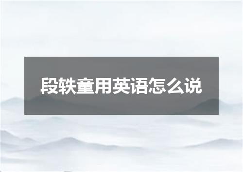 段轶童用英语怎么说