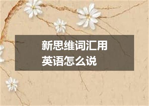 新思维词汇用英语怎么说