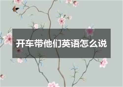 开车带他们英语怎么说