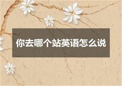 你去哪个站英语怎么说